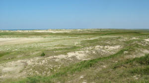 Blick von der Möwendüne (08.08.2004)