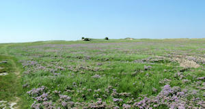 Blickrichtung Möwendüne (08.08.2004)