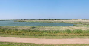 Vogelschutzgebiet (08.08.2004)