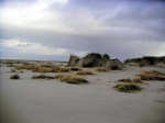 Orkanflut 31.10./01.11.2006 - Sturmflutschäden