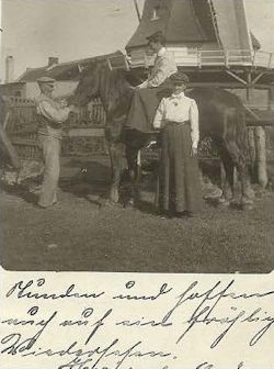 Postkarte Damen mit Pferd