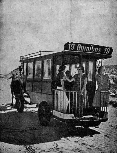 Omnibus 19