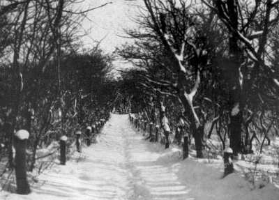 Argonnerwäldchen Argonnerwäldchen