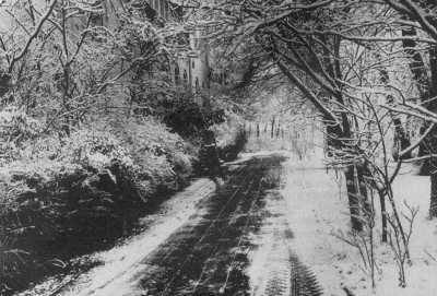 Argonnerwäldchen Argonnerwäldchen