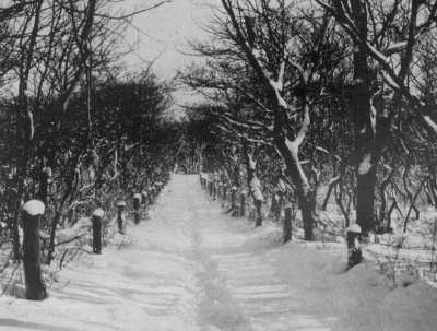 Argonnerwäldchen Argonnerwäldchen