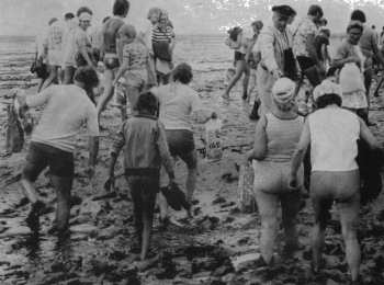 Wattwanderung Wattwanderung