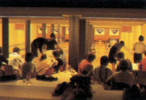 Haus der Insel Haus der Insel