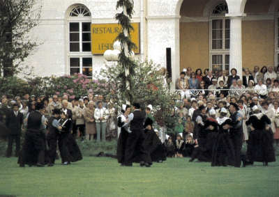 Pfingstbaum aufstellen